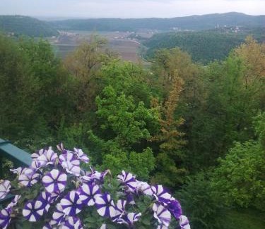 Arcugnano Bed & Breakfast | B&B Il Suono del Bosco