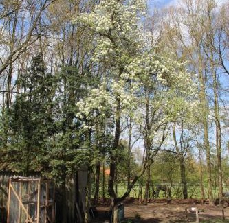 Bazuin Apartment | B&B In de Backerije