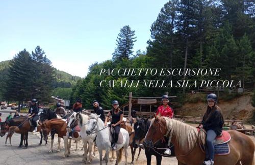 Cotronei Bed & Breakfast | B&B IN Family