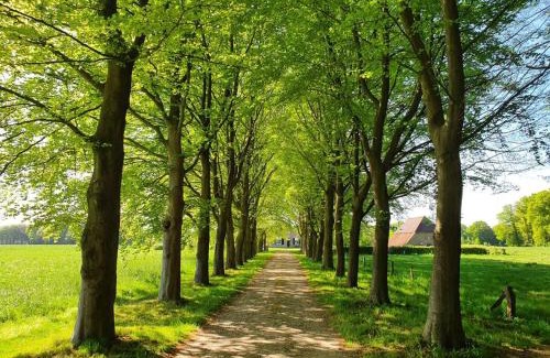 Vorden House | B&B Joostink in Vorden