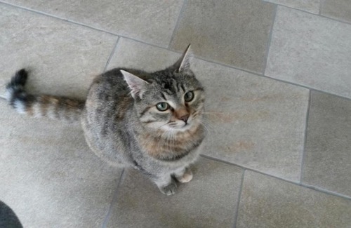 Sarmede Bed & Breakfast | B&B La Casa in Collina