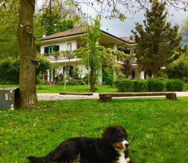 Cintano Bed & Breakfast | B&B La libellula