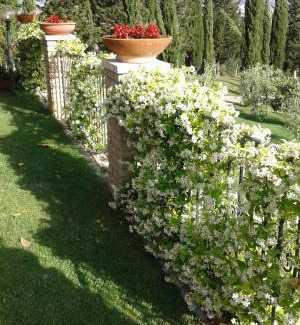 Montemerano Bed & Breakfast | B&B La Piaggia