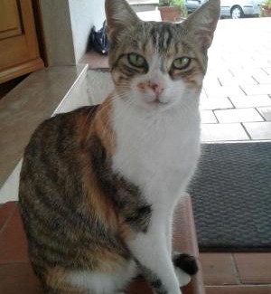 Montemerano Bed & Breakfast | B&B La Piaggia