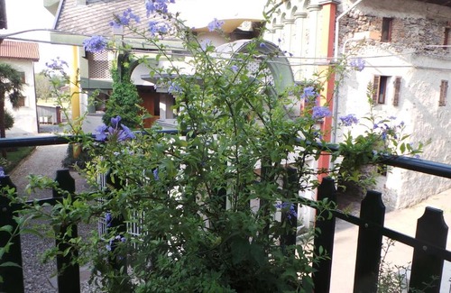 Baio Dora Bed & Breakfast | B&B La Rampichina