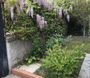 Nicolosi Bed & Breakfast | B&B La Rena Rossa