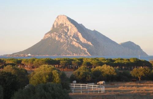 Tiriddo Bed & Breakfast | B&B La Taerra