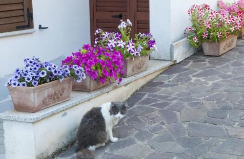 Nuoro Bed & Breakfast | B&B Le Fresie