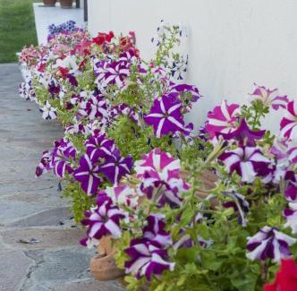 Nuoro Bed & Breakfast | B&B Le Fresie