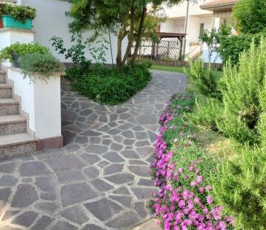Imola Bed & Breakfast | B & B Le Mimose