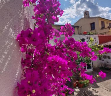 Galtelli Bed & Breakfast | B&B Mes' Agustu