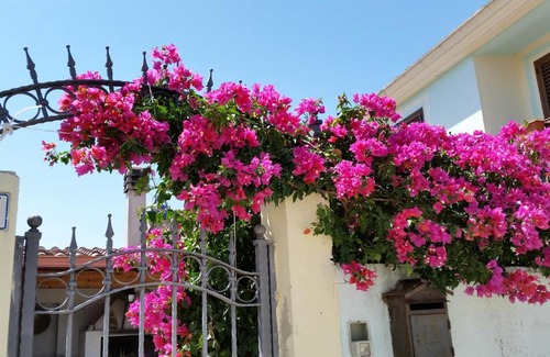 Mandas Bed & Breakfast | B&B Mitzixeddas
