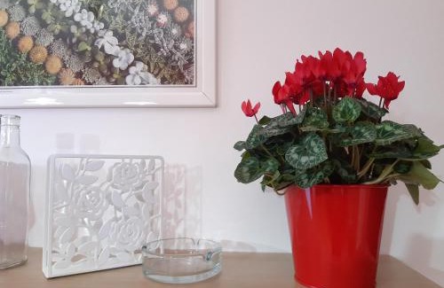 Morcone Bed & Breakfast | B&B Murgantia