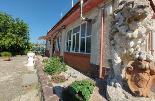 Sorianello Bed & Breakfast | B&B PASSO DEL FALCO
