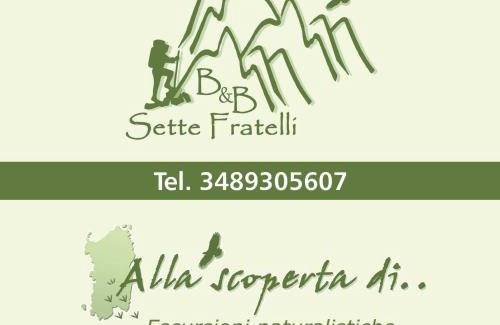 Villaggio delle Mimose Bed & Breakfast | B&B Sette Fratelli