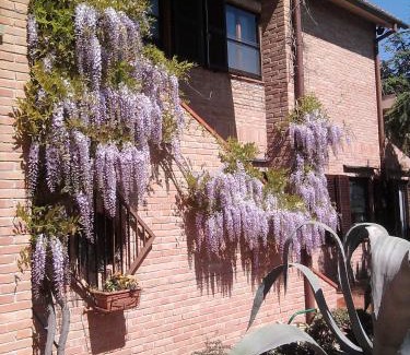 Polverigi Bed & Breakfast | B&B Timeout