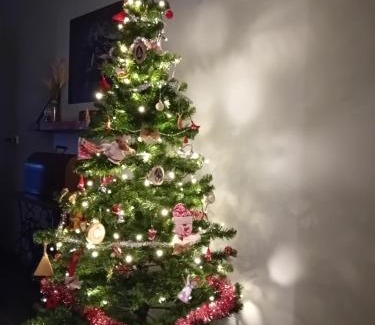 Liessel Bed & Breakfast | B&B Typisch Lelies