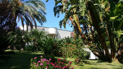 Palermo Bed & Breakfast | B & B Villa Flora
