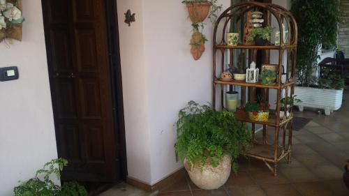 Formia Bed & Breakfast | B&B Villa Noemi