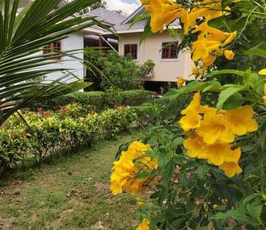 Fang Bed & Breakfast | Baan innto resort