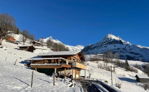 Grindelwald Apartment | Bachsbort 14 4 Bett Wohnung Parterre, Freie Sicht Auf Eiger