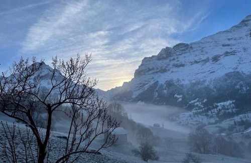 Grindelwald Apartment | Bachsbort 14 4 Bett Wohnung Parterre, Freie Sicht Auf Eiger