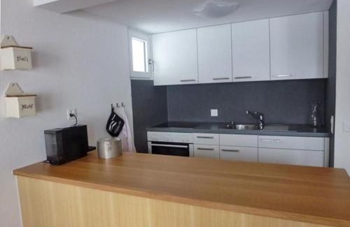 Grindelwald Apartment | Bachsbort 14 4 Bett Wohnung Parterre, Freie Sicht Auf Eiger