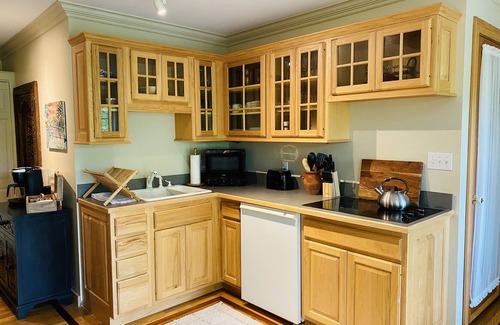 Boone Apartment | Badger's Den- Cozy Treetop Studio