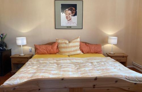 Heidenreichstein Apartment | Baeckerei Mueller - große Unterkunft mit mid century Charme, zentral, sehr gut für Familien, privat, Stadt&Natur, Café im Haus
