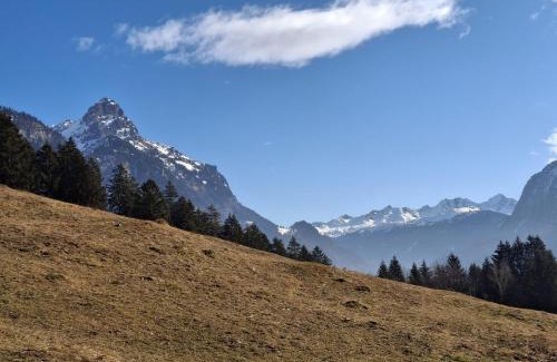 Ausserbraz Apartment | Baers Mountain Stay Außerbraz