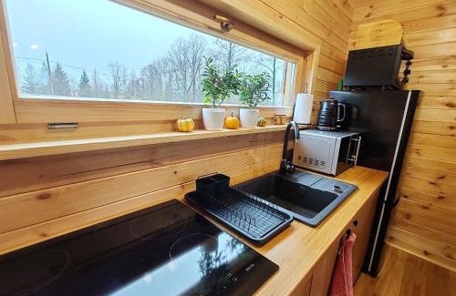 Miedzylesie House | BAJKA-Domek na wsi
