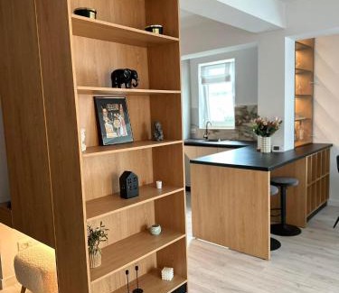 Bistrita Apartment | Balcescu Downtown Apartment