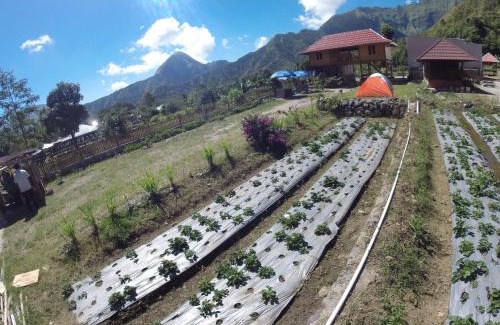 Sembalunbumbung Resort | Bale Sembahulun Cottages & Tend