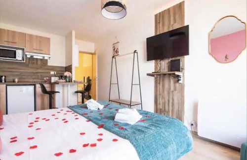 Illkirch-Graffenstaden Apartment | Balnéo & Confort, Tram, Parking