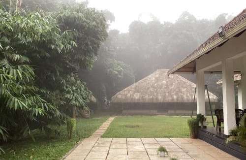 Mananthavady Bed & Breakfast | Bamboo Grove