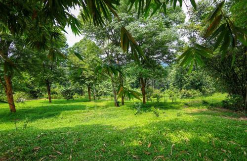 Mananthavady Bed & Breakfast | Bamboo Grove