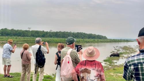 Sauraha House | Bamby Chilling House - Feel The Nature