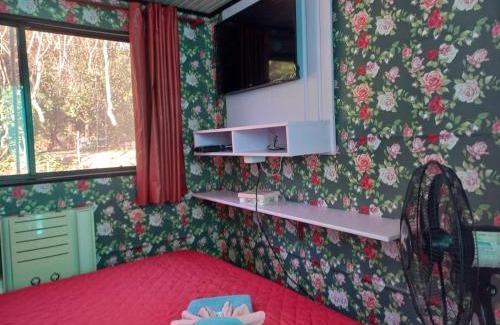 Pocone Boat Rental | Barco Casa Pantanal Toca da Onça