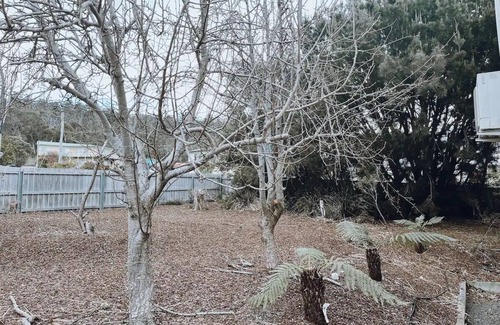 Bicheno Apartment | Barefoot Bungalow | Cozy Bicheno Hideaway |