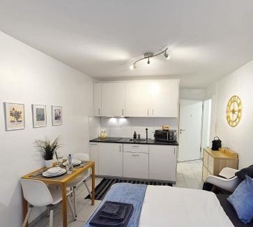 Bruderholz Apartment | BASELiving Studio - Near ESC - Bahnhof SBB - St Jakob