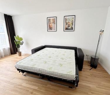 Grenzach-Wyhlen Apartment | Basilisk Homes - in Grenzach-Wyhlen bei Basel - 4 x Moderne Fewos je 1bis2, 1bis4 oder 1bis6 Pers mit Küche und Balkon oder Terrasse - Parkplätze vorhanden