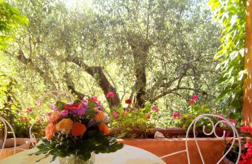 Le Rouret Bed & Breakfast | Bastide Rose de Mai