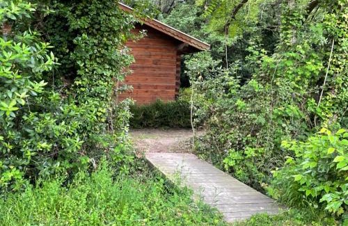 St.-Remy-de-Provence Ski Chalet | Bastidette Florestane