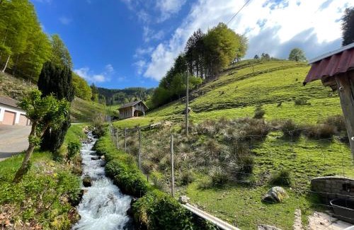Munstertal House | Bauernhaus im Münstertal