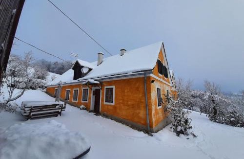 Pischelsdorf am Kulm Apartment | Bauernhaus Posch, Ferienappartements