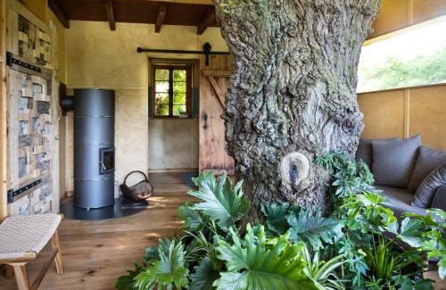 Borstel Bed & Breakfast | Baumhaus Beletage