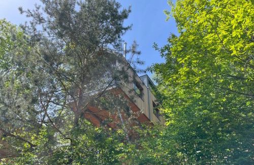 Annweiler am Trifels House | Baumwipfelhaus