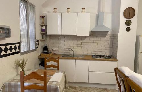 Raval Roig Apartment | Beach Postiguet House GAM