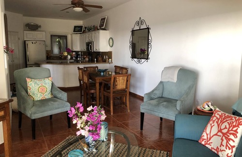 San Jose del Cabo Condo | Beachfront Cabo in San Jose Del Cabo!