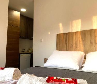 Denovici Apartment | Beachfront Haven